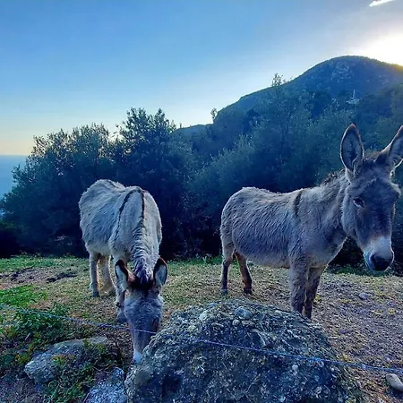 La Bomboniere & Bed & Breakfast Roquebrune-Cap-Martin