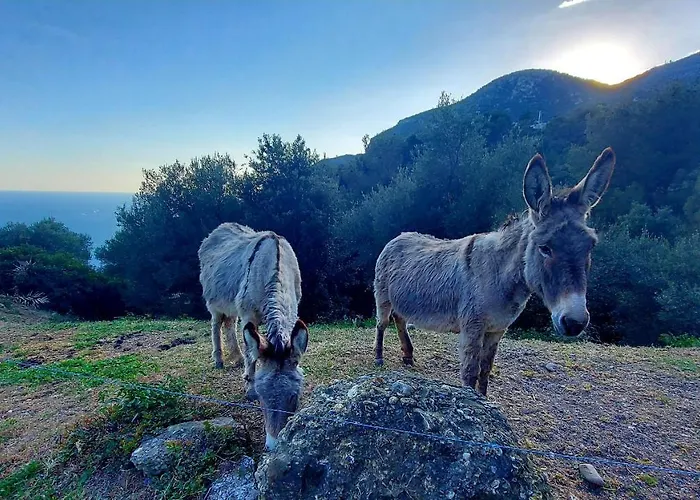 La Bombonière&spa Bed & Breakfast Roccabruna